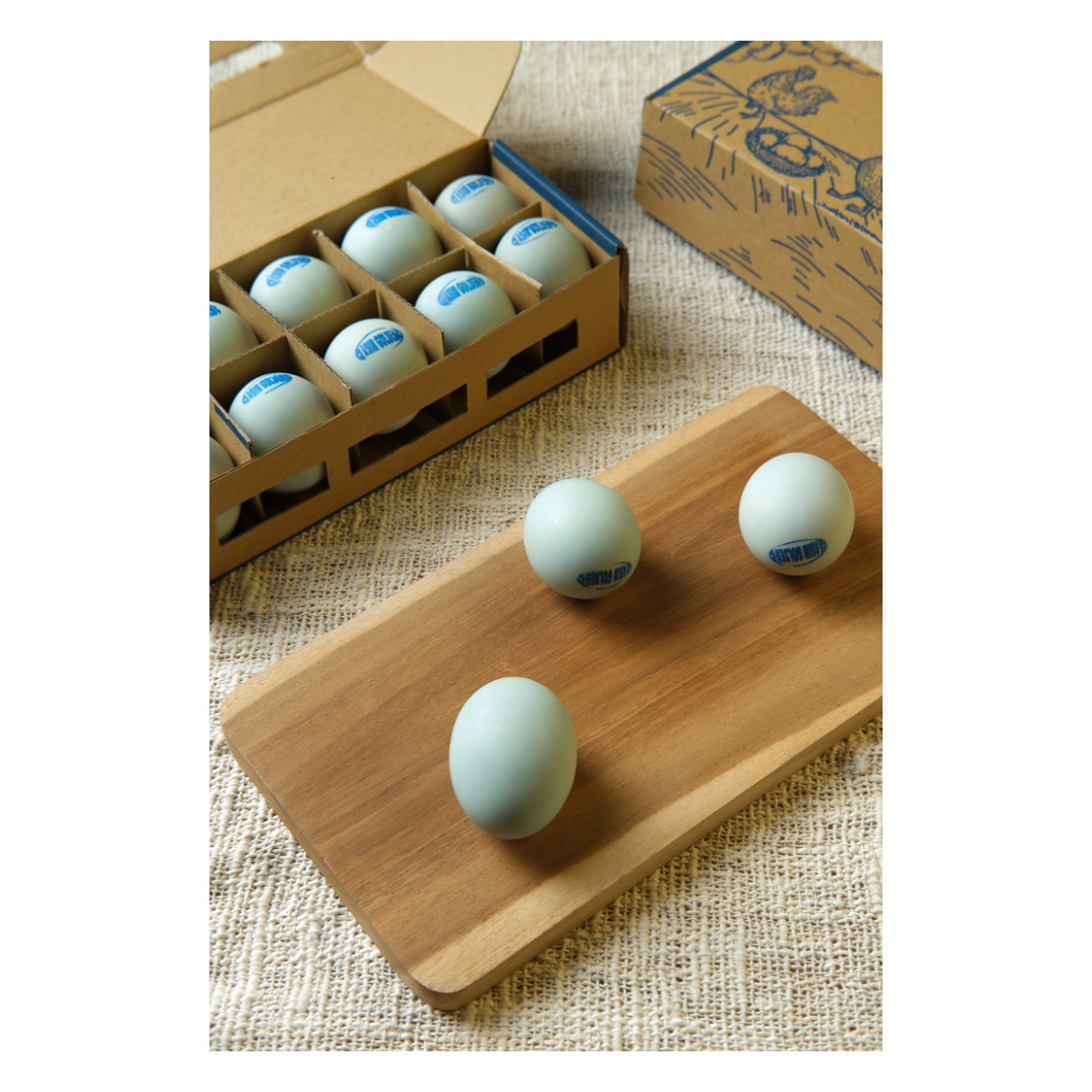 Visual Chikers Project